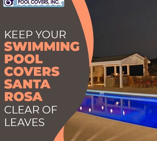 Keep Your Swimming Pool Covers Santa Rosa Clear of Leaves/Debris and Standing Water